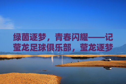 绿茵逐梦，青春闪耀——记莹龙足球俱乐部，莹龙逐梦，绿茵场上的青春闪耀