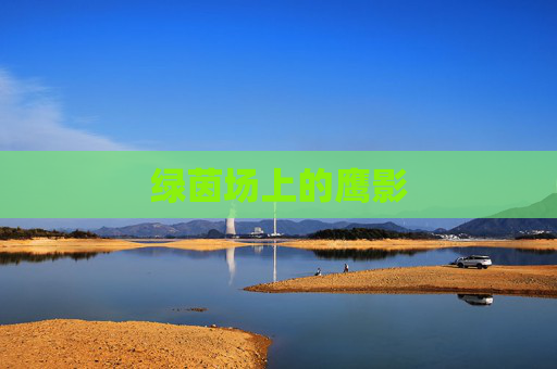 绿茵场上的鹰影