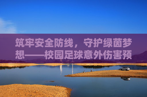 筑牢安全防线，守护绿茵梦想——校园足球意外伤害预防指南，筑牢安全防线，守护绿茵梦想——校园足球意外伤害预防指南