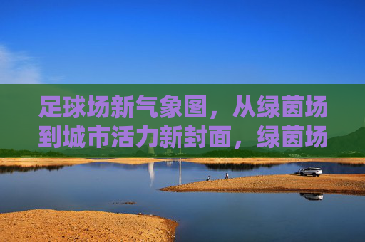足球场新气象图，从绿茵场到城市活力新封面，绿茵场蝶变，城市活力新封面