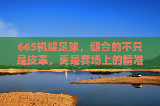 665机缝足球，缝合的不只是皮革，更是赛场上的精准与热爱，665机缝足球，缝合皮革，更缝合赛场精准与热爱