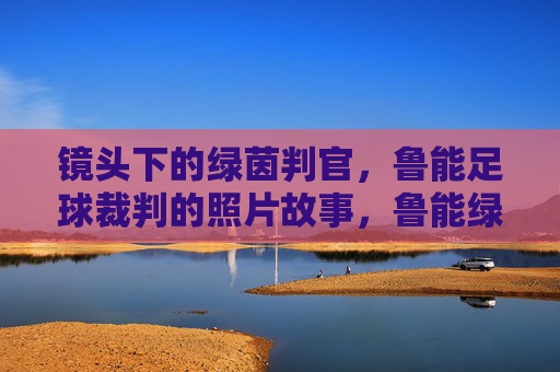 镜头下的绿茵判官，鲁能足球裁判的照片故事，鲁能绿茵判官，镜头下的照片故事