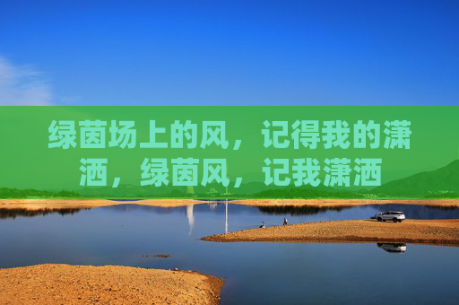 绿茵场上的风，记得我的潇洒，绿茵风，记我潇洒