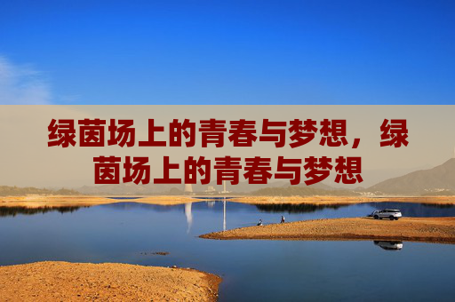 绿茵场上的青春与梦想,绿茵场上的青春与梦想 绿茵场上的青春与梦想,绿茵场上的青春与梦想