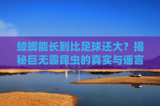 蟑螂能长到比足球还大？揭秘巨无霸昆虫的真实与谣言，蟑螂真能长成足球巨无霸？揭秘昆虫大小真相与谣言