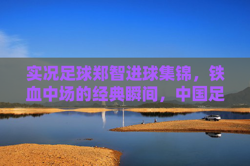 实况足球郑智进球集锦，铁血中场的经典瞬间，中国足球的永恒记忆，郑智铁血进球集锦，中国足球的永恒经典瞬间
