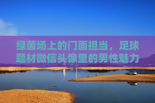 绿茵场上的门面担当，足球题材微信头像里的男性魅力密码，绿茵门面担当，足球头像的男性魅力密码