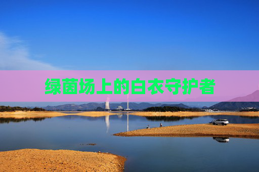 绿茵场上的白衣守护者 绿茵场上的白衣守护者