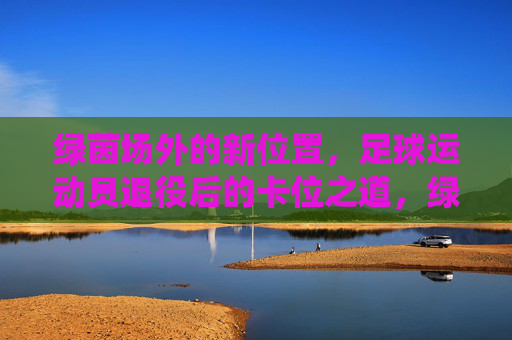 绿茵场外的新位置，足球运动员退役后的卡位之道，绿茵场外新位置，退役球员的卡位之道
