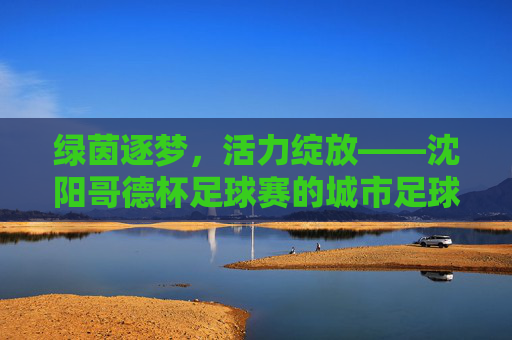 绿茵逐梦，活力绽放——沈阳哥德杯足球赛的城市足球盛宴，沈阳哥德杯足球赛，绿茵逐梦，城市足球盛宴
