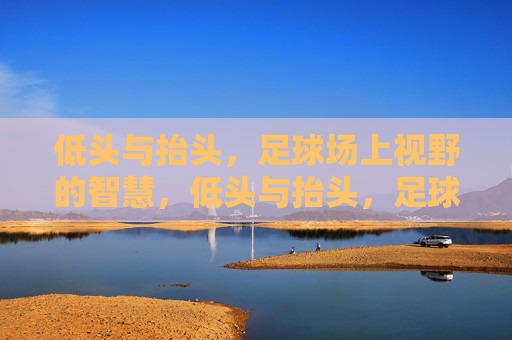 低头与抬头，足球场上视野的智慧，低头与抬头，足球场上的视野智慧