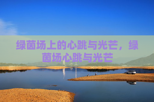 绿茵场上的心跳与光芒，绿茵场心跳与光芒