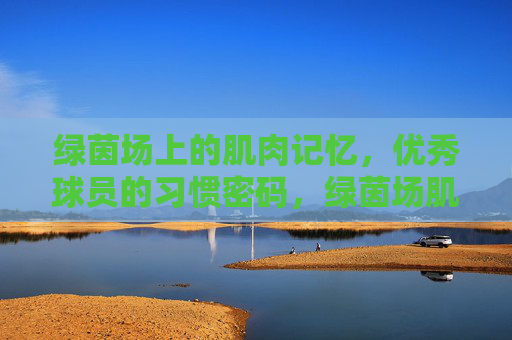 绿茵场上的肌肉记忆,优秀球员的习惯密码,绿茵场肌肉记忆,优秀球员的习惯密码 绿茵场上的肌肉记忆,优秀球员的习惯密码,绿茵场肌肉记忆,优秀球员的习惯密码