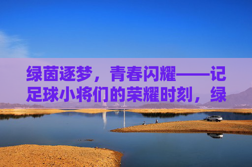 绿茵逐梦,青春闪耀——记足球小将们的荣耀时刻,绿茵逐梦,青春闪耀,足球小将荣耀时刻 绿茵逐梦,青春闪耀——记足球小将们的荣耀时刻,绿茵逐梦,青春闪耀,足球小将荣耀时刻