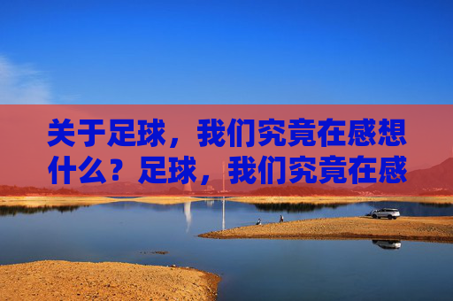 关于足球，我们究竟在感想什么？足球，我们究竟在感想什么？