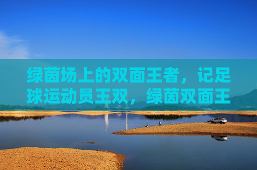 绿茵场上的双面王者，记足球运动员王双，绿茵双面王，王双