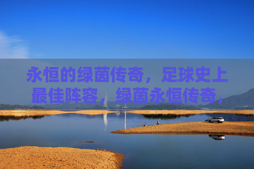 永恒的绿茵传奇，足球史上最佳阵容，绿茵永恒传奇，史上最佳足球阵容