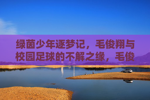 绿茵少年逐梦记,毛俊翔与校园足球的不解之缘,毛俊翔与校园足球,绿茵逐梦的不解之缘 绿茵少年逐梦记,毛俊翔与校园足球的不解之缘,毛俊翔与校园足球,绿茵逐梦的不解之缘