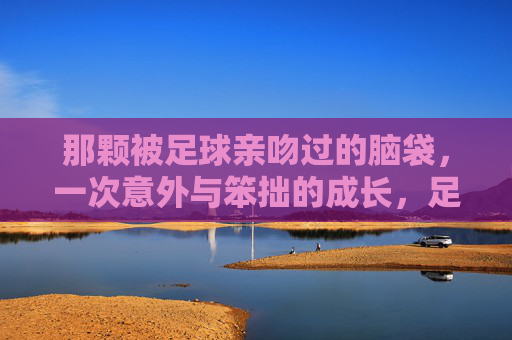 那颗被足球亲吻过的脑袋,一次意外与笨拙的成长,足球吻过的脑袋,一次笨拙的成长 那颗被足球亲吻过的脑袋,一次意外与笨拙的成长,足球吻过的脑袋,一次笨拙的成长