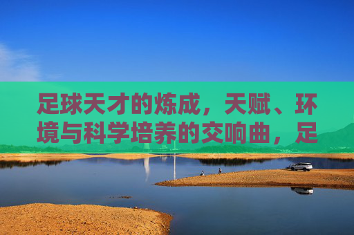 足球天才的炼成,天赋、环境与科学培养的交响曲,足球天才的炼成,天赋、环境与科学的交响 足球天才的炼成,天赋、环境与科学培养的交响曲,足球天才的炼成,天赋、环境与科学的交响