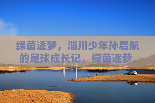 绿茵逐梦,淄川少年孙启航的足球成长记,绿茵逐梦,淄川少年孙启航成长记 绿茵逐梦,淄川少年孙启航的足球成长记,绿茵逐梦,淄川少年孙启航成长记