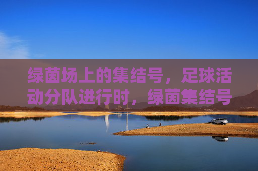 绿茵场上的集结号,足球活动分队进行时,绿茵集结号,足球分队行动进行时 绿茵场上的集结号,足球活动分队进行时,绿茵集结号,足球分队行动进行时
