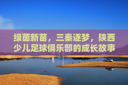 绿茵新苗,三秦逐梦,陕西少儿足球俱乐部的成长故事,三秦新苗逐梦绿茵 绿茵新苗,三秦逐梦,陕西少儿足球俱乐部的成长故事,三秦新苗逐梦绿茵
