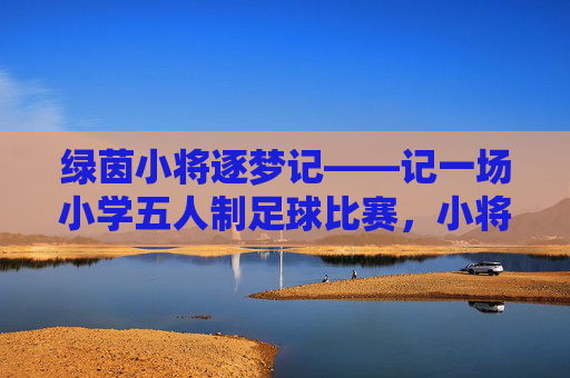 绿茵小将逐梦记——记一场小学五人制足球比赛，小将逐梦绿茵场