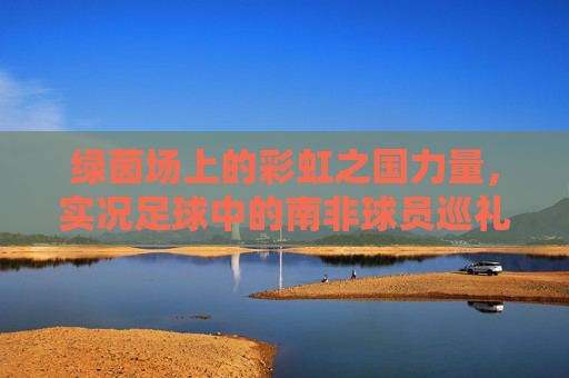 绿茵场上的彩虹之国力量,实况足球中的南非球员巡礼,彩虹之国绿茵力量,实况足球南非球员巡礼 绿茵场上的彩虹之国力量,实况足球中的南非球员巡礼,彩虹之国绿茵力量,实况足球南非球员巡礼