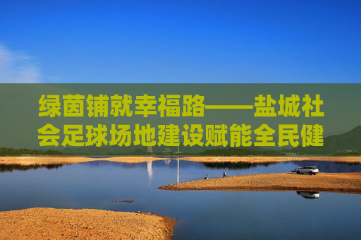 绿茵铺就幸福路——盐城社会足球场地建设赋能全民健身，盐城绿茵铺就全民健身幸福路