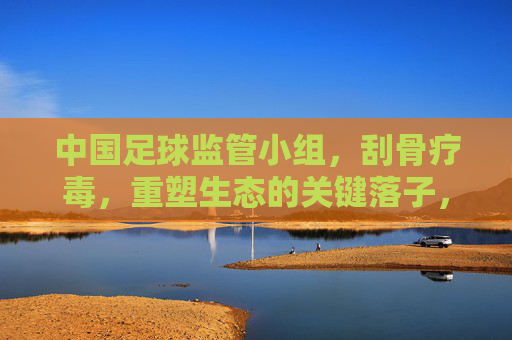 中国足球监管小组,刮骨疗毒,重塑生态的关键落子,中国足球监管小组,刮骨疗毒重塑生态的关键落子 中国足球监管小组,刮骨疗毒,重塑生态的关键落子,中国足球监管小组,刮骨疗毒重塑生态的关键落子