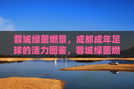 蓉城绿茵燃景,成都成年足球的活力图鉴,蓉城绿茵燃景,成年足球活力图鉴 蓉城绿茵燃景,成都成年足球的活力图鉴,蓉城绿茵燃景,成年足球活力图鉴