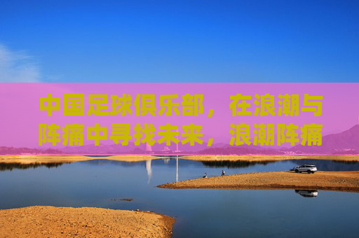 中国足球俱乐部,在浪潮与阵痛中寻找未来,浪潮阵痛中,中国足球俱乐部寻未来 中国足球俱乐部,在浪潮与阵痛中寻找未来,浪潮阵痛中,中国足球俱乐部寻未来