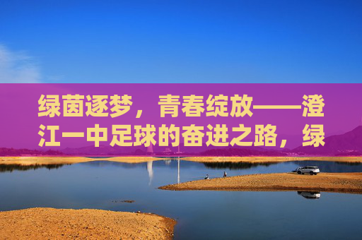 绿茵逐梦，青春绽放——澄江一中足球的奋进之路，绿茵逐梦，青春绽放——澄江一中足球奋进之路