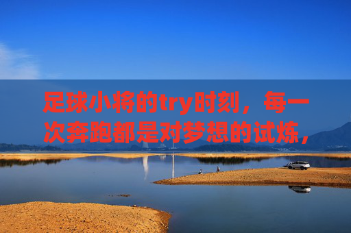 足球小将的try时刻,每一次奔跑都是对梦想的试炼,足球小将,奔跑试炼,try逐梦 足球小将的try时刻,每一次奔跑都是对梦想的试炼,足球小将,奔跑试炼,try逐梦