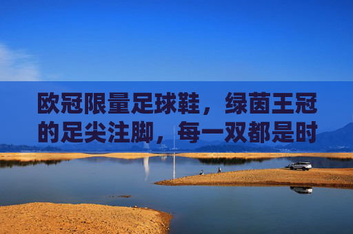 欧冠限量足球鞋,绿茵王冠的足尖注脚,每一双都是时光的收藏 欧冠限量足球鞋,绿茵王冠的足尖注脚,每一双都是时光的收藏