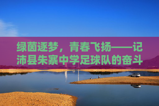 绿茵逐梦,青春飞扬——记沛县朱寨中学足球队的奋斗之路,沛县朱寨中学足球队,青春飞扬绿茵逐梦 绿茵逐梦,青春飞扬——记沛县朱寨中学足球队的奋斗之路,沛县朱寨中学足球队,青春飞扬绿茵逐梦