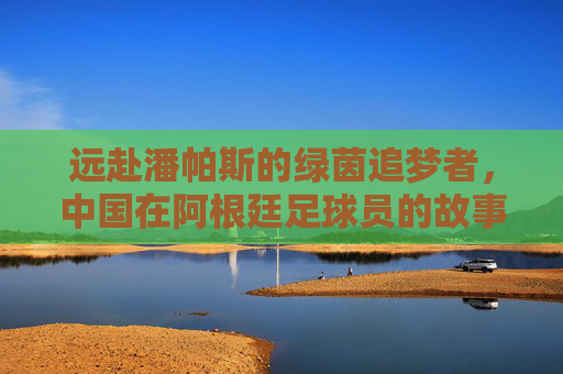 远赴潘帕斯的绿茵追梦者,中国在阿根廷足球员的故事,潘帕斯的中国绿茵追梦者 远赴潘帕斯的绿茵追梦者,中国在阿根廷足球员的故事,潘帕斯的中国绿茵追梦者