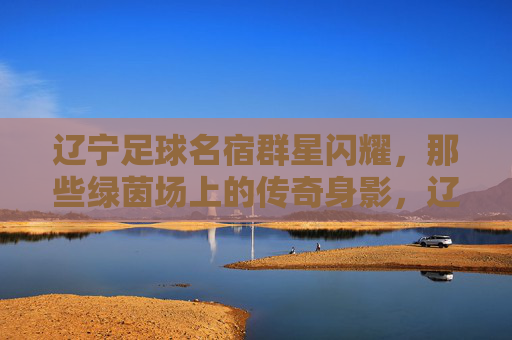 辽宁足球名宿群星闪耀，那些绿茵场上的传奇身影，辽宁足球名宿，绿茵场上的传奇群星