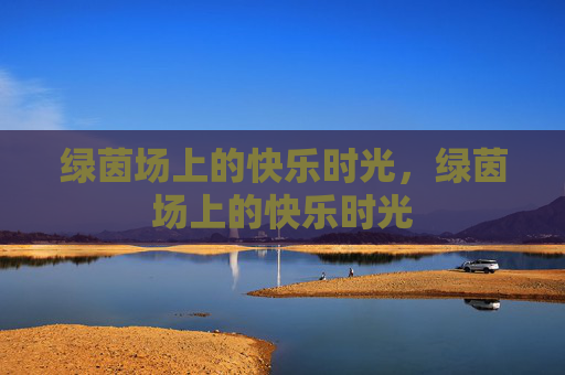 绿茵场上的快乐时光,绿茵场上的快乐时光 绿茵场上的快乐时光,绿茵场上的快乐时光