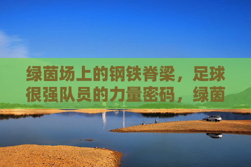 绿茵场上的钢铁脊梁，足球很强队员的力量密码，绿茵钢铁脊梁，足球队员力量密码