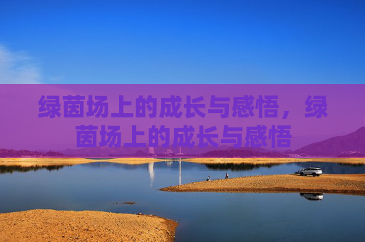 绿茵场上的成长与感悟,绿茵场上的成长与感悟 绿茵场上的成长与感悟,绿茵场上的成长与感悟