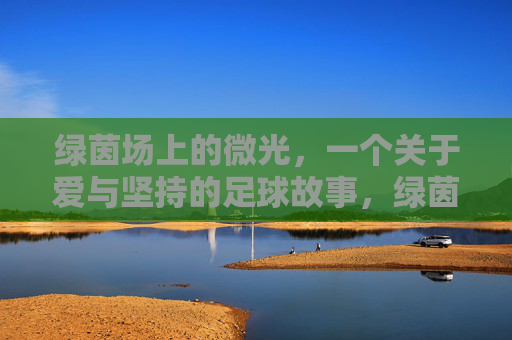 绿茵场上的微光,一个关于爱与坚持的足球故事,绿茵场上的微光,爱与坚持 绿茵场上的微光,一个关于爱与坚持的足球故事,绿茵场上的微光,爱与坚持