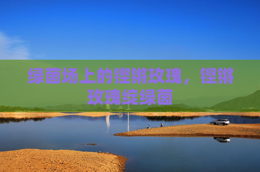 绿茵场上的铿锵玫瑰，铿锵玫瑰绽绿茵