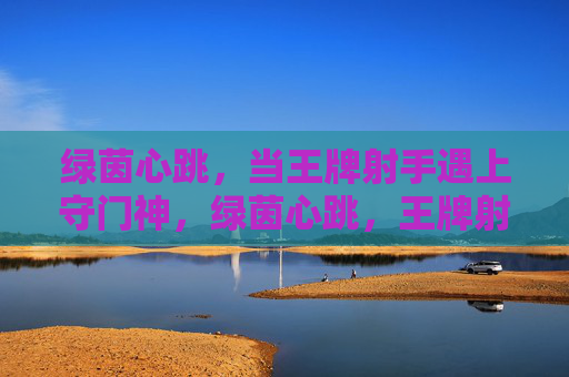 绿茵心跳,当王牌射手遇上守门神,绿茵心跳,王牌射手对决守门神 绿茵心跳,当王牌射手遇上守门神,绿茵心跳,王牌射手对决守门神