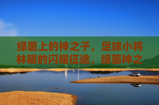 绿茵上的神之子,足球小将林曜的闪耀征途,绿茵神之子,林曜的闪耀征途 绿茵上的神之子,足球小将林曜的闪耀征途,绿茵神之子,林曜的闪耀征途