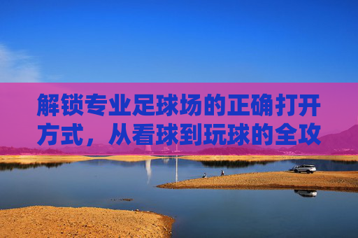 解锁专业足球场的正确打开方式，从看球到玩球的全攻略，解锁专业足球场，从看球到玩球的全攻略