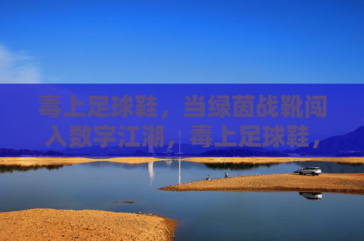 毒上足球鞋，当绿茵战靴闯入数字江湖，毒上足球鞋，绿茵战靴闯数字江湖