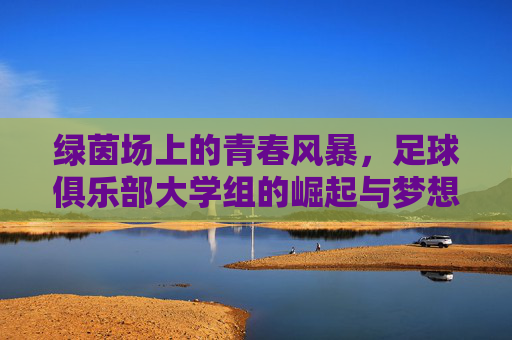 绿茵场上的青春风暴,足球俱乐部大学组的崛起与梦想,绿茵青春风暴,大学足球俱乐部的崛起与梦想 绿茵场上的青春风暴,足球俱乐部大学组的崛起与梦想,绿茵青春风暴,大学足球俱乐部的崛起与梦想