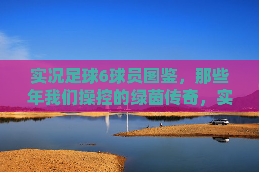 实况足球6球员图鉴，那些年我们操控的绿茵传奇，实况足球6球员图鉴，那些年我们操控的绿茵传奇
